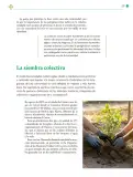 Miniatura página 228 de Colección Nanahuatzin. Lenguajes.   Libro de Educación Telesecundaria Grado 3°  Ciclo Escolar 2025 - 2026