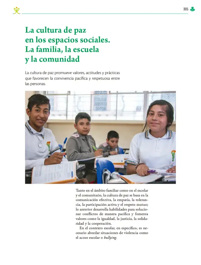 Página 306 de Colección Ximhai. Ética, naturaleza y sociedades. Libro de Educación Telesecundaria Grado 1° Ciclo Escolar 2025 - 2026