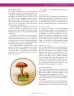 Miniatura página 191 de Ciencias Naturales 9° · Secundaria Activa