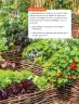 Miniatura página 91 de Ciencias Naturales – Tercero Básico | Texto del Estudiante MINEDUC – Descargar PDF · 2024
