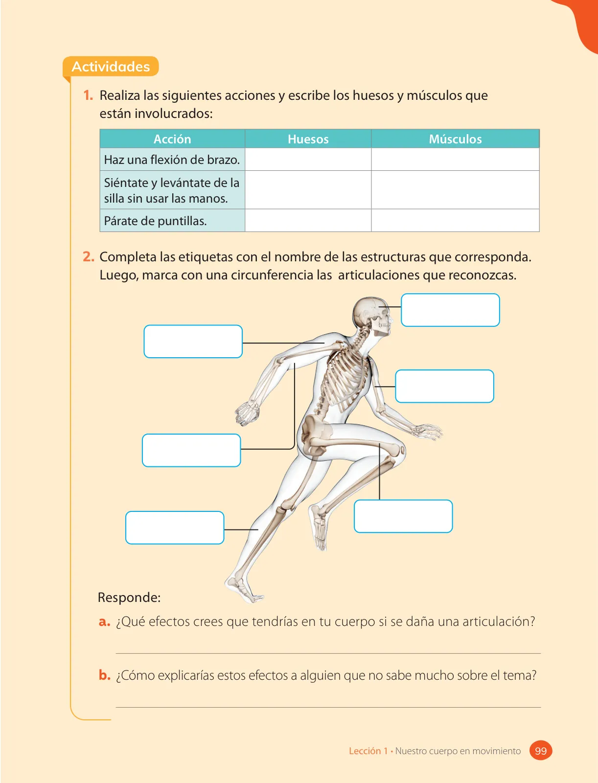 Página 101 de Ciencias Naturales – Cuarto Básico | Texto del Estudiante MINEDUC – Descargar PDF · 2024