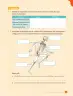 Miniatura página 101 de Ciencias Naturales – Cuarto Básico | Texto del Estudiante MINEDUC – Descargar PDF · 2024
