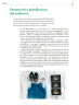 Miniatura página 261 de Colección Ximhai. Saberes y pensamiento científico.   Libro de Educación Telesecundaria Grado 1°  Ciclo Escolar 2025 - 2026
