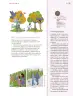 Miniatura página 52 de Nuestros saberes: Libro para alumnos, maestros y familia.   Libro de Educación Primaria Grado 3°  Ciclo Escolar 2025 - 2026