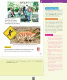 Miniatura página 146 de Ciencias Naturales – Segundo Básico | Texto del Estudiante MINEDUC – Descargar PDF · 2024