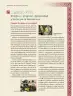 Miniatura página 308 de Nuestros saberes: México, grandeza y diversidad.   Libro de Educación Primaria Grado 4°  Ciclo Escolar 2025 - 2026