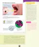 Miniatura página 16 de Ciencias Naturales – Séptimo Básico | Texto del Estudiante MINEDUC – Descargar PDF · 2024