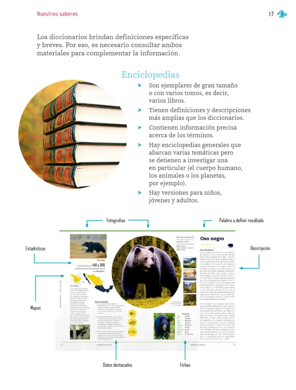 Página 18