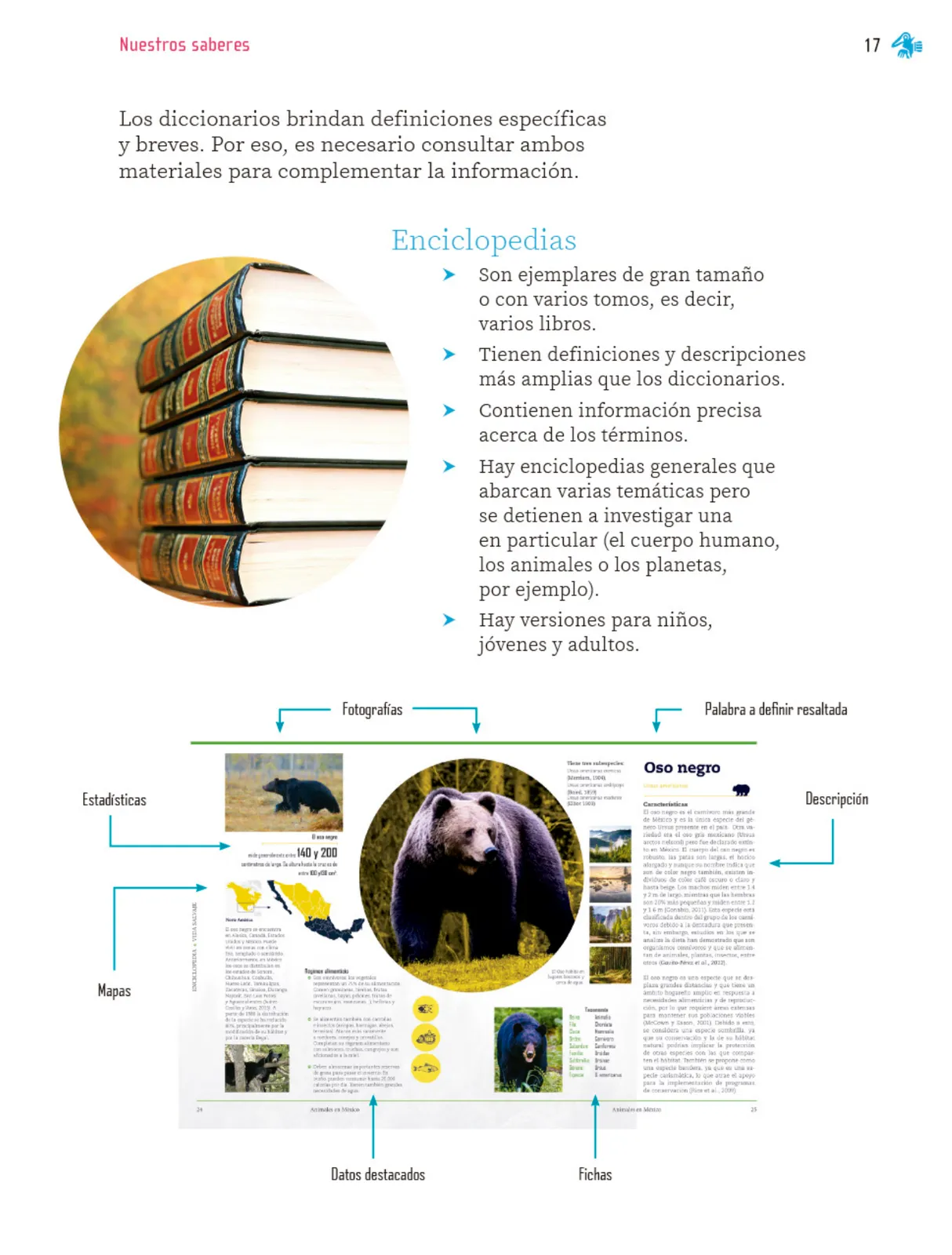Página 18