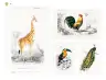Miniatura página 51 de Múltiples lenguajes.   Libro de Educación Preescolar Grado 2°  Ciclo Escolar 2025 - 2026