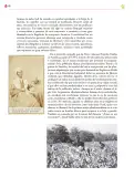 Miniatura página 117 de Colección Nanahuatzin. Ética, naturaleza y sociedades.   Libro de Educación Secundaria Grado 3°  Ciclo Escolar 2025 - 2026