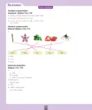 Miniatura página 187 de Ciencias Naturales – Primero Básico | Texto del Estudiante (MINEDUC) – Descargar PDF · 2024