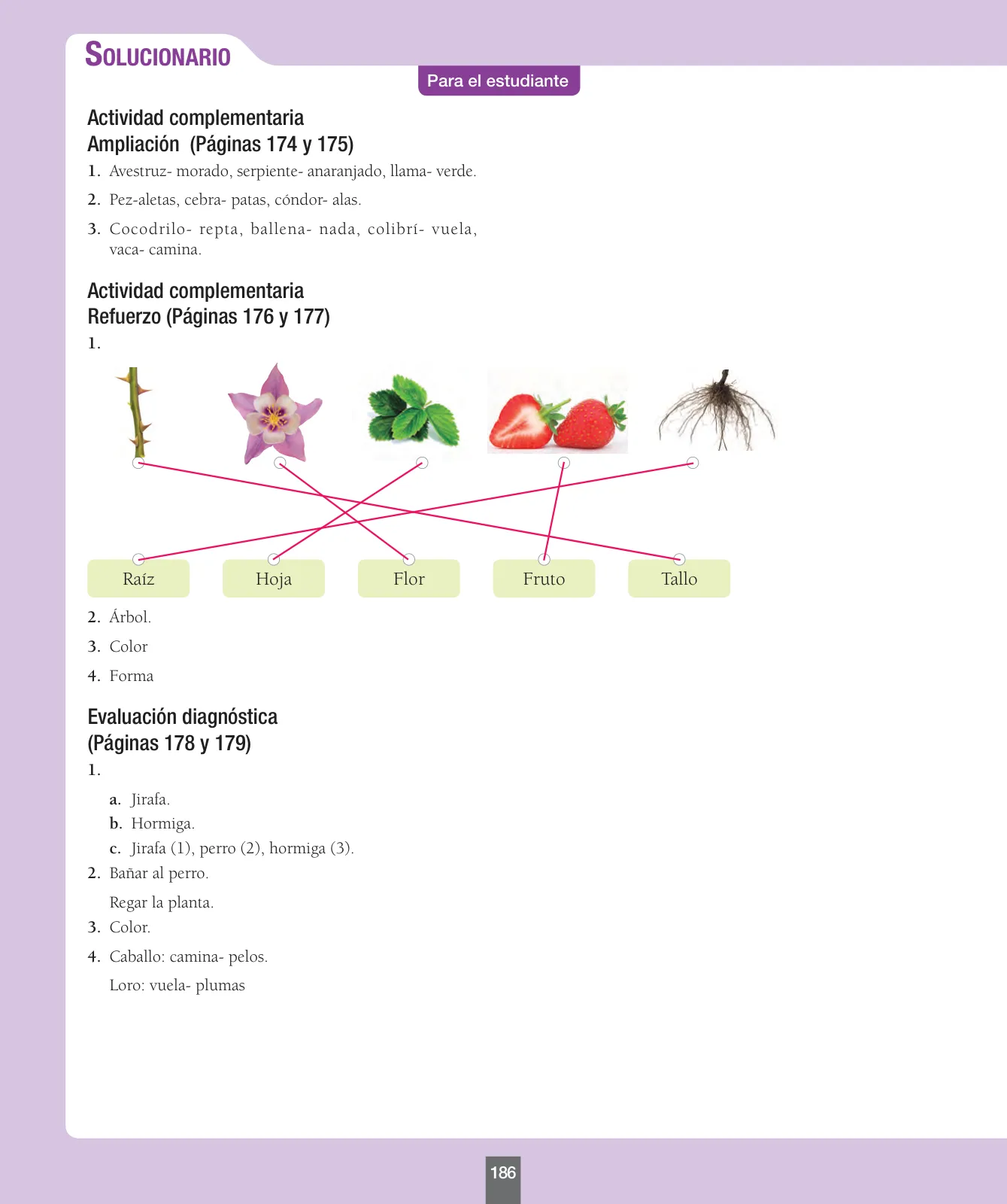 Miniatura página 187 de Ciencias Naturales – Primero Básico | Texto del Estudiante (MINEDUC) – Descargar PDF · 2024