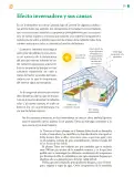 Miniatura página 176 de Colección Sk´asolil. Saberes y pensamiento científico.   Libro de Educación Telesecundaria Grado 2°  Ciclo Escolar 2025 - 2026