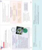 Miniatura página 87 de Lenguaje y Comunicación – Segundo Básico – Texto del Estudiante MINEDUC – Descargar PDF · 2024