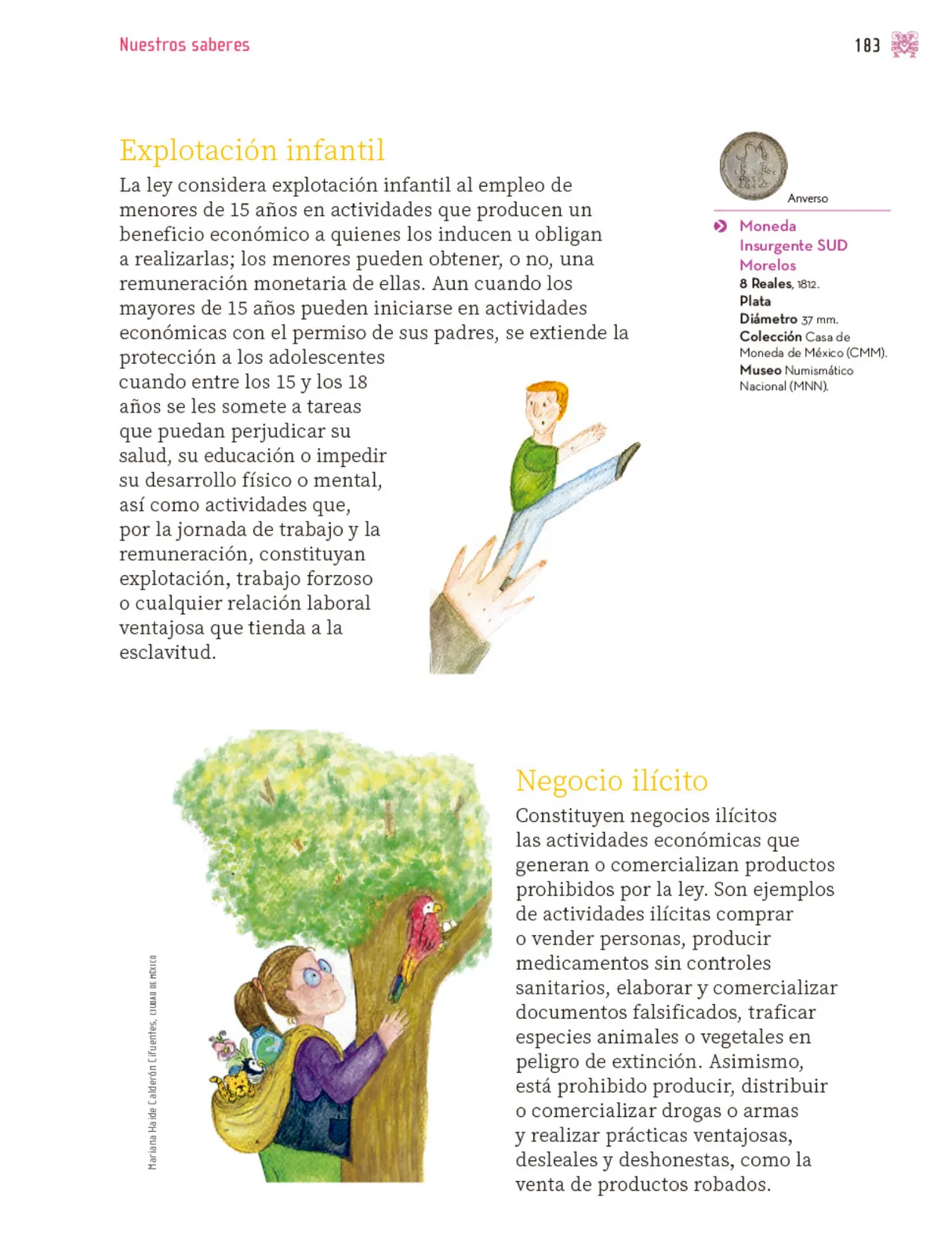 Página 184 de Nuestros saberes: Libro para alumnos, maestros y familia. Libro de Educación Primaria Grado 3° Ciclo Escolar 2025 - 2026