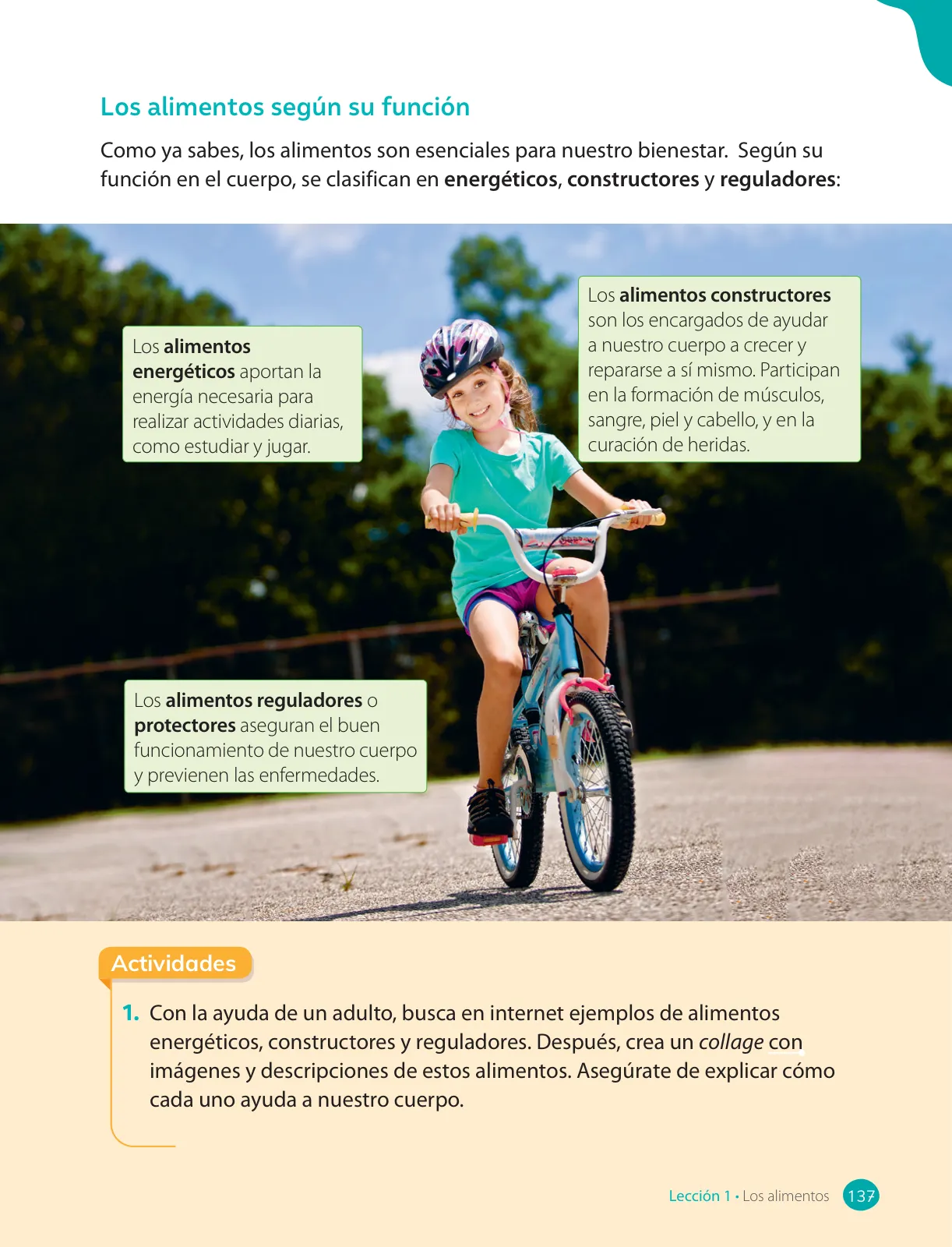 Página 139 de Ciencias Naturales – Tercero Básico | Texto del Estudiante MINEDUC – Descargar PDF · 2024