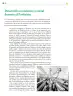 Miniatura página 127 de Colección Sk´asolil. Ética, naturaleza y sociedades.   Libro de Educación Telesecundaria Grado 2°  Ciclo Escolar 2025 - 2026