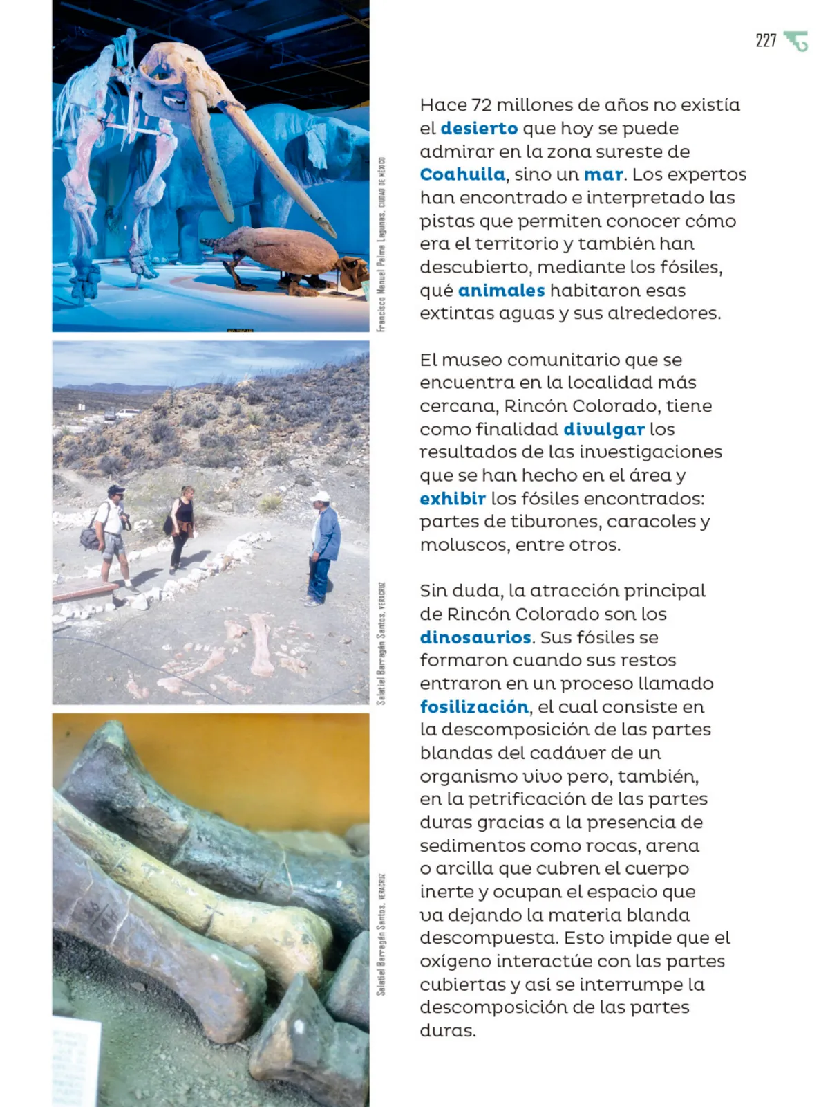 Página 228 de Múltiples lenguajes. Libro de Educación Primaria Grado 6° Ciclo Escolar 2025 - 2026