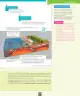 Miniatura página 114 de Ciencias Naturales – Séptimo Básico | Texto del Estudiante MINEDUC – Descargar PDF · 2024