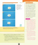 Miniatura página 118 de Ciencias Naturales – Séptimo Básico | Texto del Estudiante MINEDUC – Descargar PDF · 2024