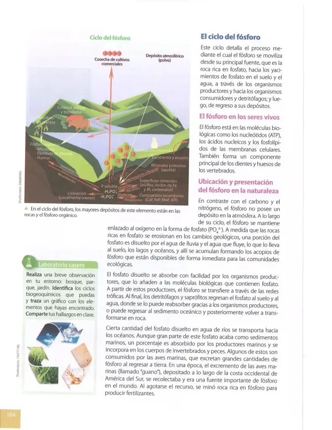 Página 103 de Ciencias Naturales 8° · Egb 8 Ciencias Naturales 2025 · 2025