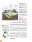 Miniatura página 103 de Ciencias Naturales 8° · Egb 8 Ciencias Naturales 2025 · 2025