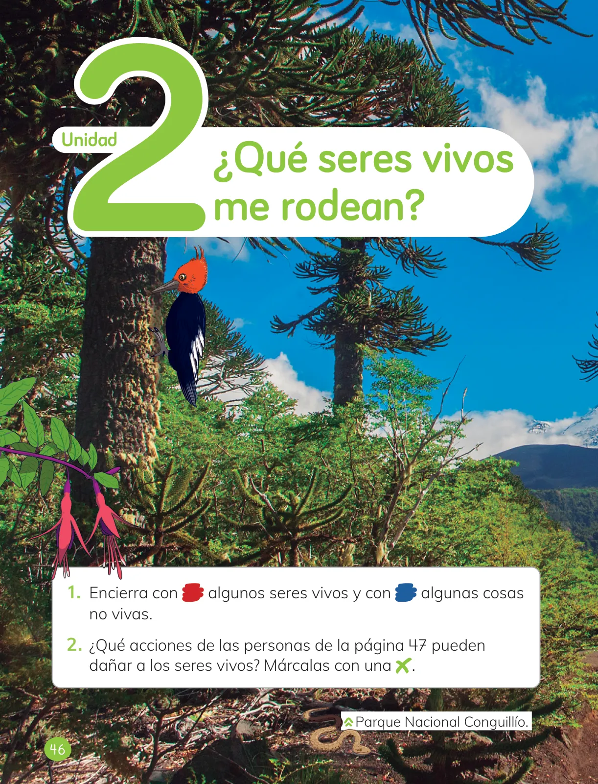 Página 48 de Ciencias Naturales – Primero Básico | Texto del Estudiante (MINEDUC) – Descargar PDF · 2024