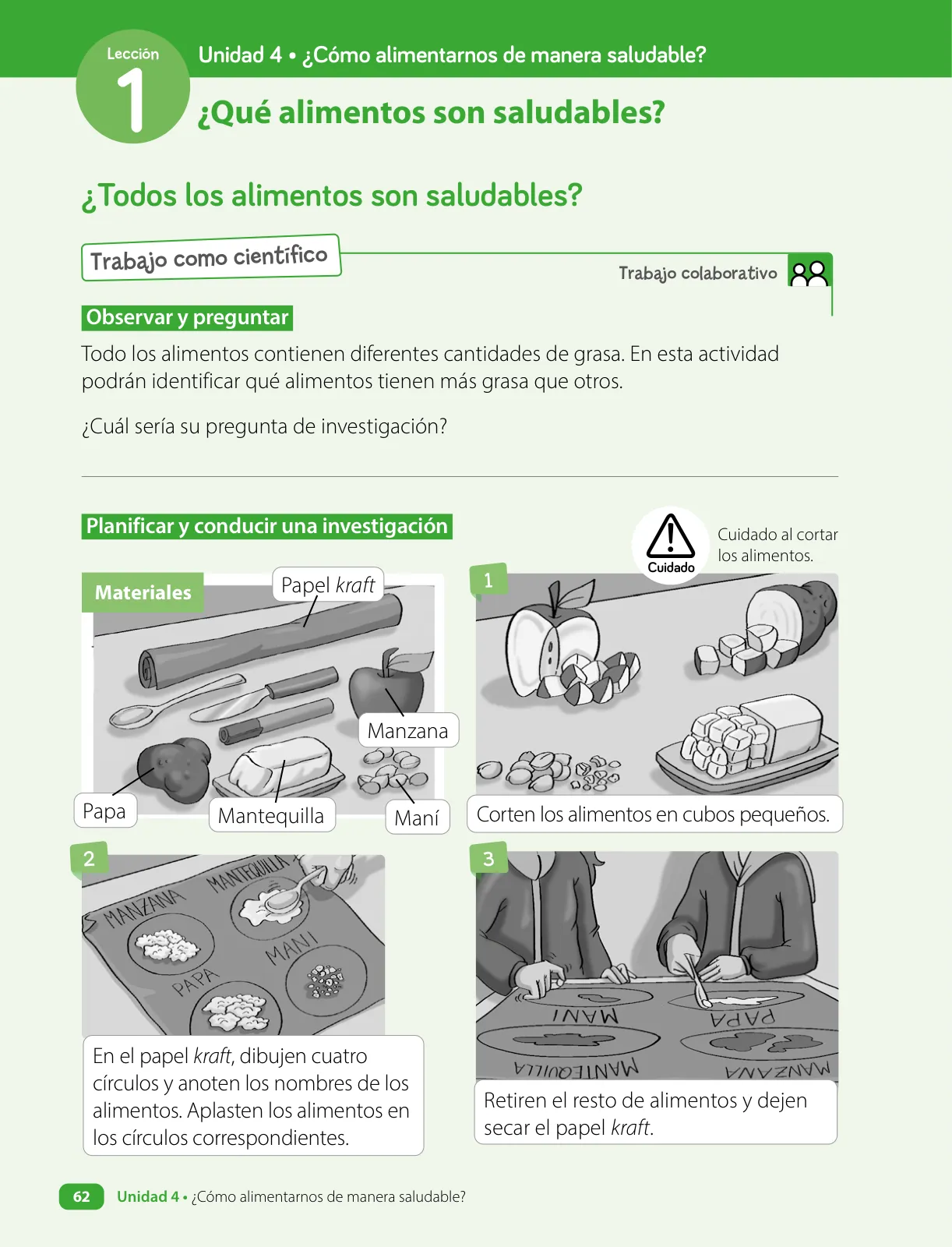 Miniatura página 64 de Ciencias Naturales – Tercero Básico | Texto del Estudiante MINEDUC – Descargar PDF · 2024