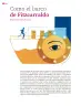 Miniatura página 113 de Colección Nanahuatzin. Múltiples lenguajes.   Libro de Educación Secundaria Grado 3°  Ciclo Escolar 2025 - 2026