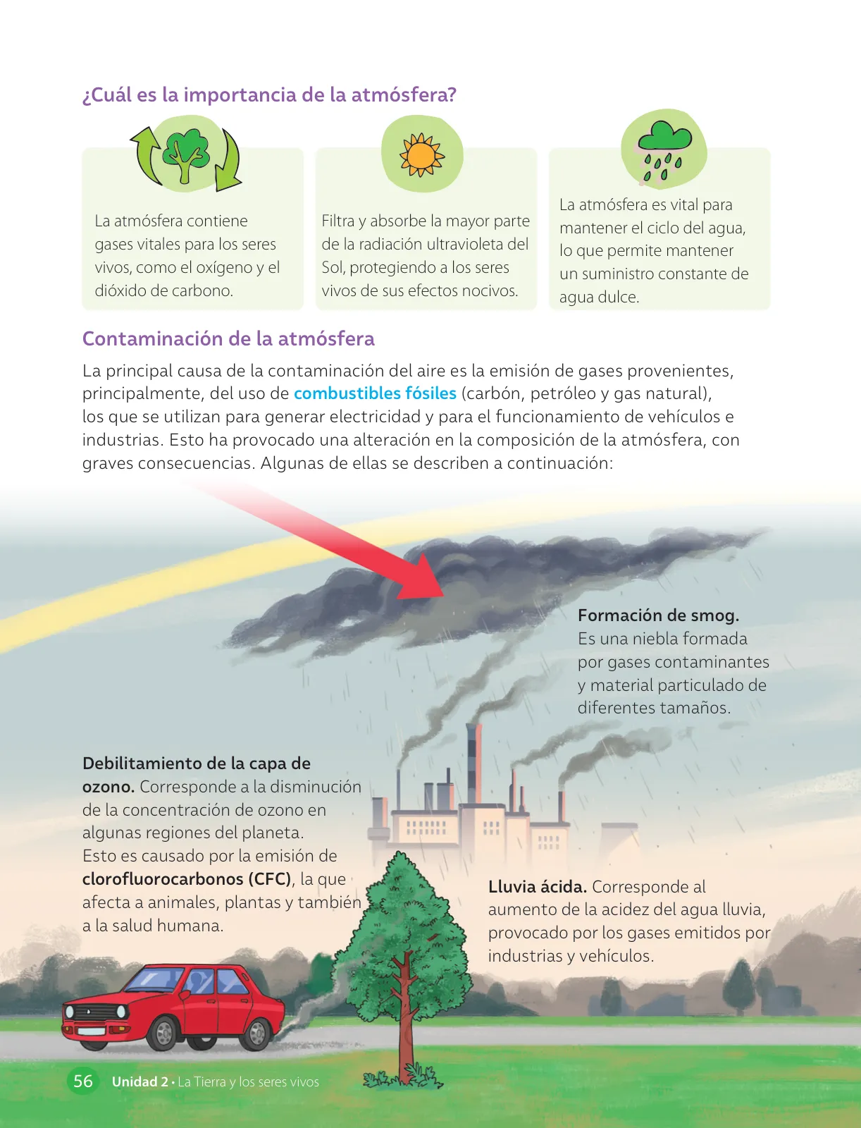 Página 58 de Libro de Ciencias Naturales – Quinto Básico | Texto del Estudiante MINEDUC – Descargar PDF · 2024