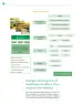 Miniatura página 33 de Colección Sk´asolil. Nuestro libro de Proyectos. Tomo I.    Libro de Educación Telesecundaria Grado 2°  Ciclo Escolar 2025 - 2026