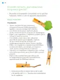 Miniatura página 117 de Proyectos de Aula.   Libro de Educación Primaria Grado 2°  Ciclo Escolar 2025 - 2026