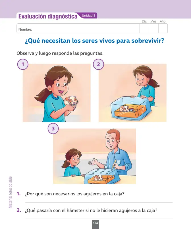 Página 175 de Ciencias Naturales – Segundo Básico | Texto del Estudiante MINEDUC – Descargar PDF · 2024