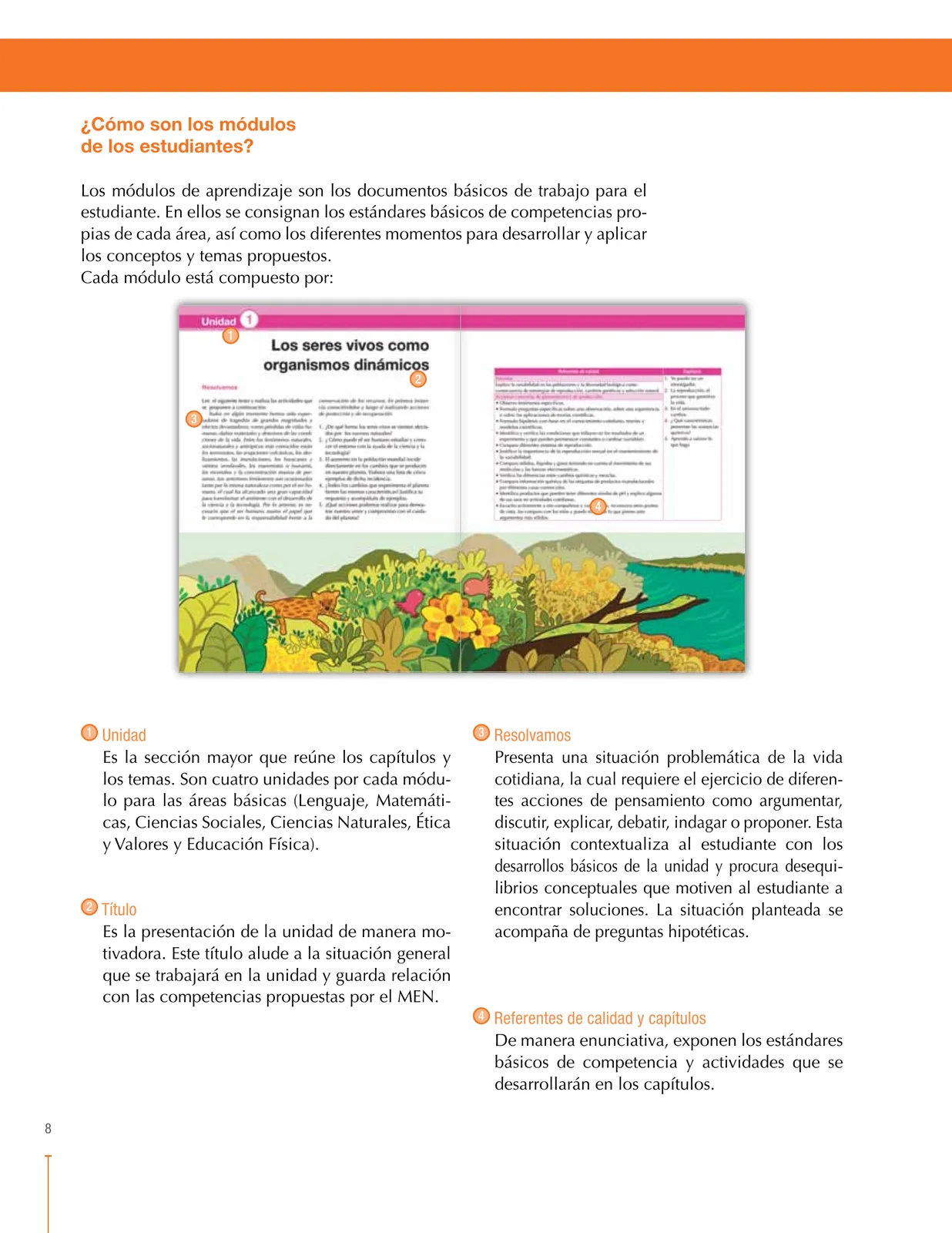 Página 8 de Ciencias Naturales 8° · Secundaria Activa