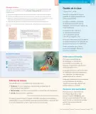 Miniatura página 39 de Lengua y Literatura – Octavo Básico | Texto del Estudiante MINEDUC – Descargar PDF · 2024