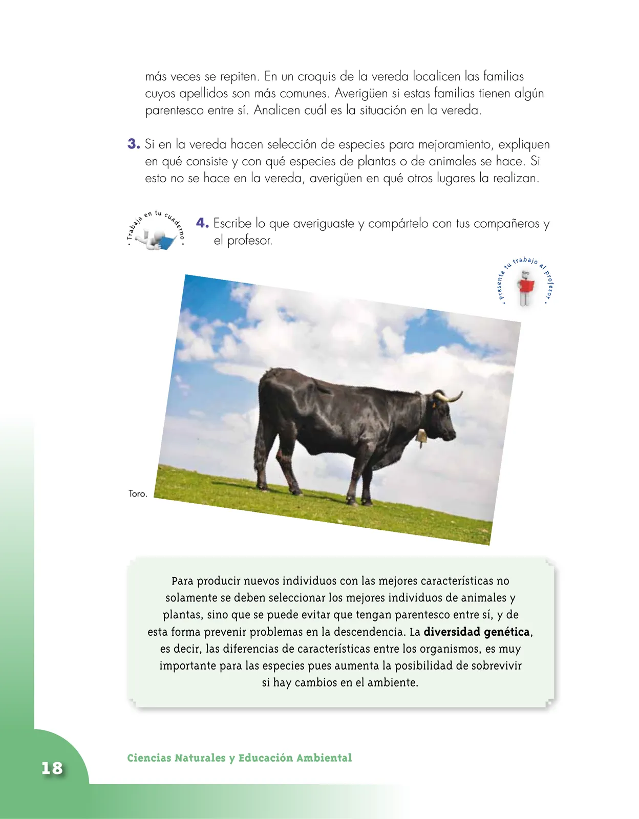 Página 18 de Ciencias Naturales 4° · Cartilla 02