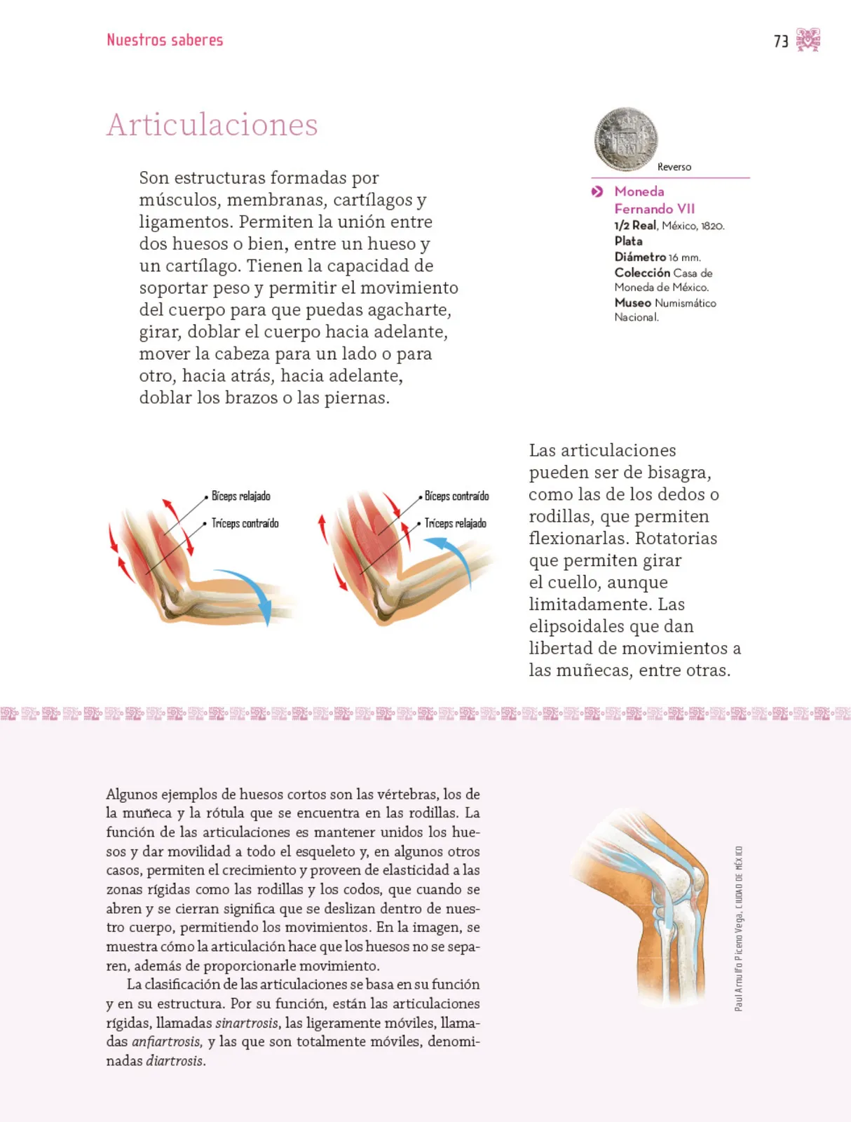 Página 74 de Nuestros saberes: Libro para alumnos, maestros y familia.   Libro de Educación Primaria Grado 3°  Ciclo Escolar 2025 - 2026