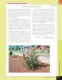 Miniatura página 166 de Libro de Ciencias Naturales – Quinto Básico | Texto del Estudiante MINEDUC – Descargar PDF · 2024