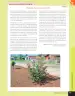 Miniatura página 166 de Libro de Ciencias Naturales – Quinto Básico | Texto del Estudiante MINEDUC – Descargar PDF · 2024