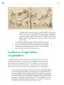 Miniatura página 45 de Colección Sk´asolil. Ética, naturaleza y sociedades.   Libro de Educación Telesecundaria Grado 2°  Ciclo Escolar 2025 - 2026