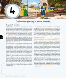 Miniatura página 91 de Ciencias Naturales – Tercero Básico | Texto del Estudiante MINEDUC – Descargar PDF · 2024
