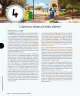 Miniatura página 91 de Ciencias Naturales – Tercero Básico | Texto del Estudiante MINEDUC – Descargar PDF · 2024