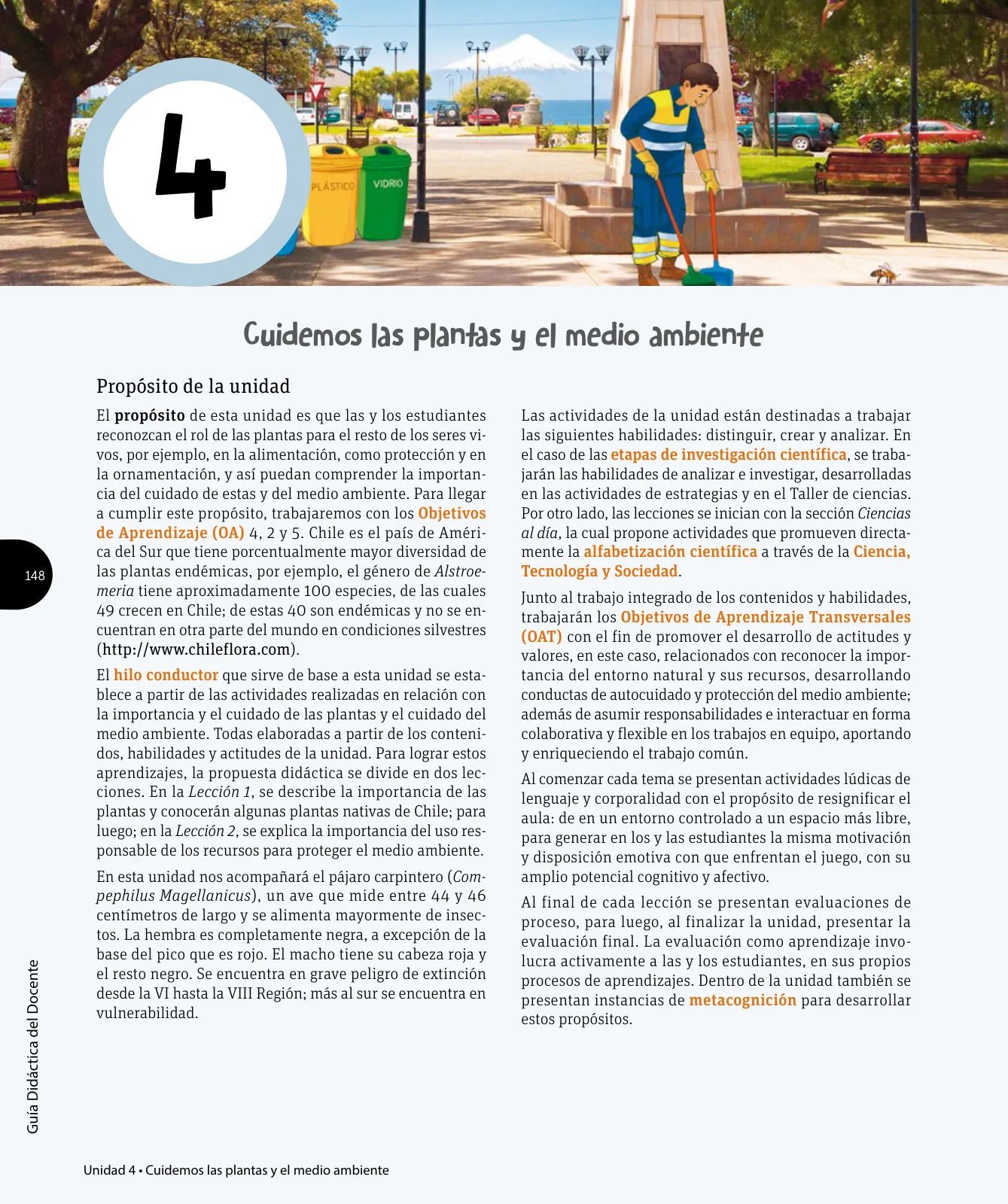 Miniatura página 91 de Ciencias Naturales – Tercero Básico | Texto del Estudiante MINEDUC – Descargar PDF · 2024
