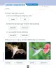 Miniatura página 113 de Ciencias Naturales – Primero Básico | Texto del Estudiante (MINEDUC) – Descargar PDF · 2024