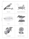 Miniatura página 84 de Múltiples lenguajes. Trazos y palabras.   Libro de Educación Primaria Grado 2°  Ciclo Escolar 2025 - 2026