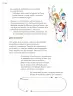 Miniatura página 35 de Proyectos de Aula.   Libro de Educación Primaria Grado 3°  Ciclo Escolar 2025 - 2026