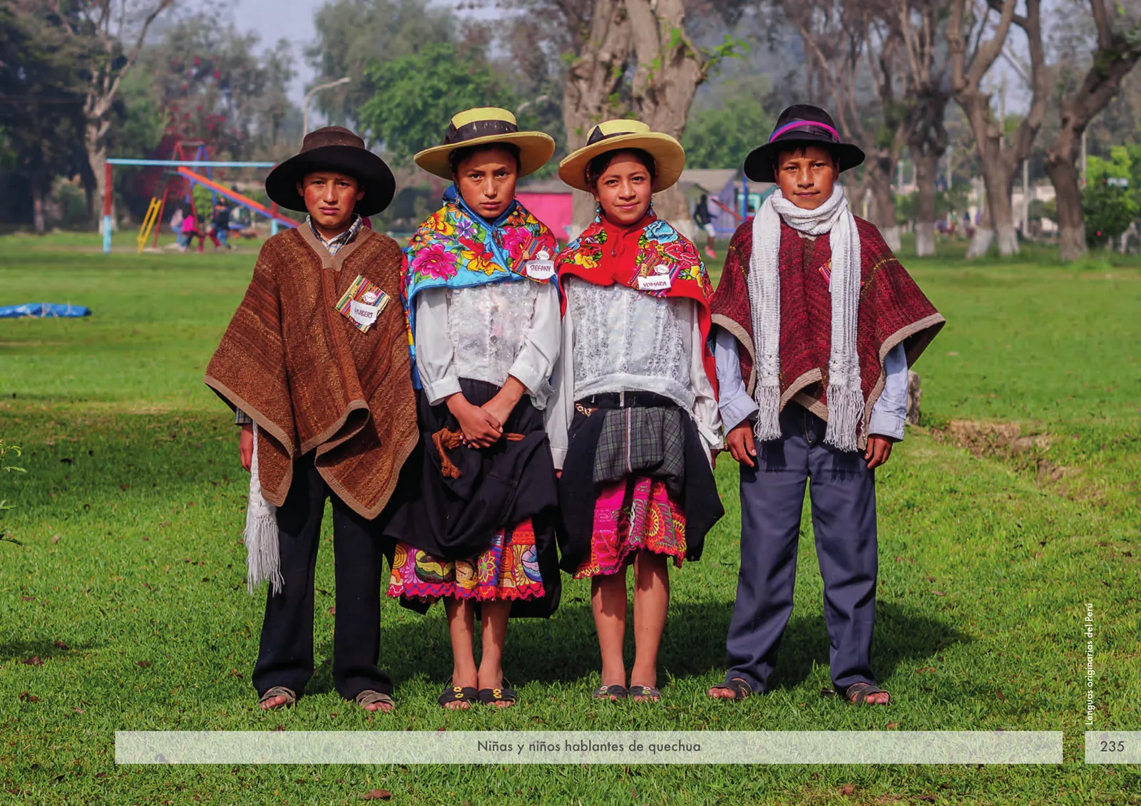 Miniatura página 237 de Lenguas originarias del Perú · 2018