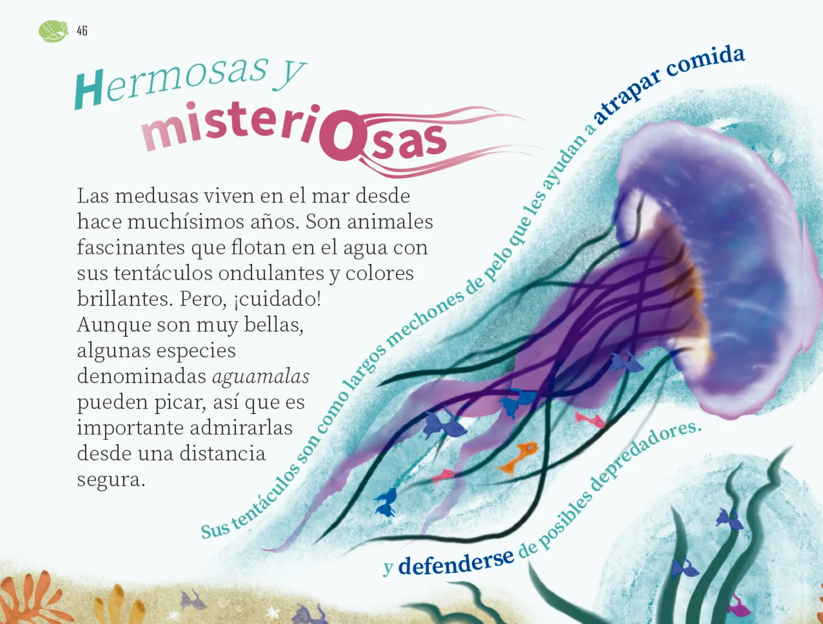 Miniatura página 47 de Múltiples lenguajes.   Libro de Educación Preescolar Grado 1°  Ciclo Escolar 2025 - 2026