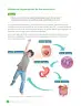 Miniatura página 58 de Libro de Ciencias Naturales – Quinto Básico | Texto del Estudiante MINEDUC – Descargar PDF · 2024